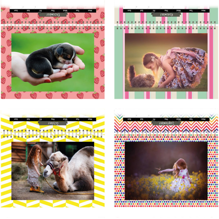 SUNSHINE A5 Desk Calendar：圖片 5
